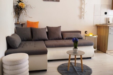 Apartmány 1355-7321 - 60