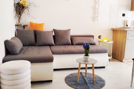 Apartmány 1355-7321 - 61