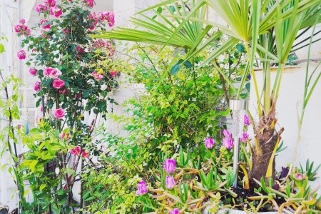 Apartmány 1355-7321 - 75