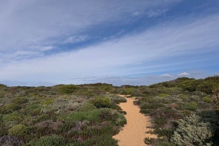 Rota Vicentina: turistika jižním Portugalskem - 20
