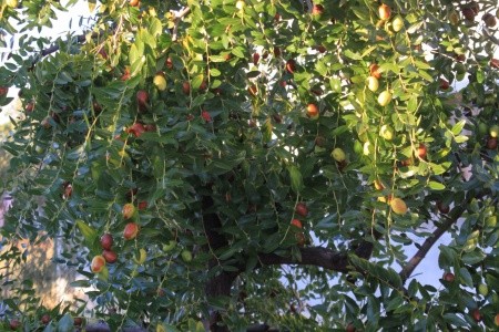 Apartmány 3298-1582 - 14