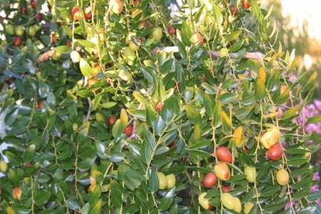 Apartmány 3298-1582 - 13