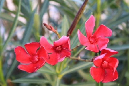 Apartmány 3298-1582 - 12