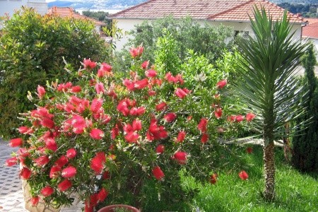 Apartmány 3298-1967 - 7