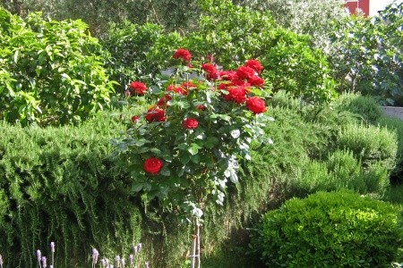 Apartmány 3298-1967 - 5