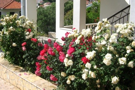 Apartmány 3298-1967 - 3