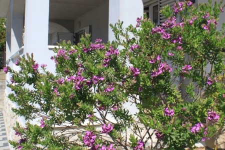 Apartmány 3298-1967 - 13