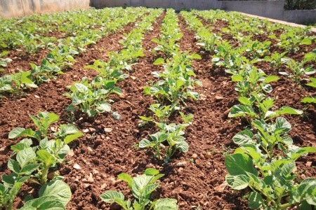 Apartmány 3298-1967 - 17