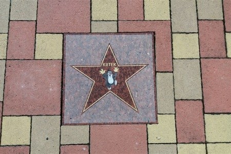 Resort Maladinovo - 69