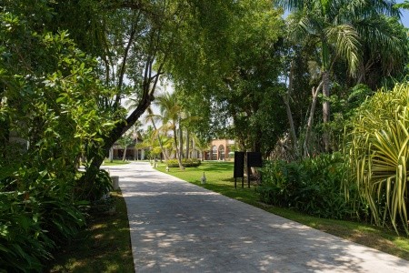 Dominikánska republika Punta Cana Caribe Deluxe Princess 11 dňový pobyt All Inclusive Letecky Letisko: Praha February 2026 ( 5/02/26-15/02/26)