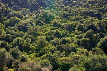 Avali, Mar-Bella Collection (Ex. Corfu Senses) - 115