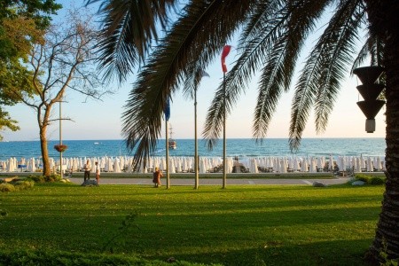 Side Star Elegance (Ex. Asteria Side) - 184