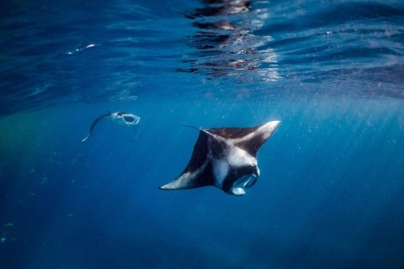 Maldivy Južný Atol Male Nova Maldives 13 dňový pobyt Plná penzia Letecky Letisko: Praha December 2025 (17/12/25-29/12/26)