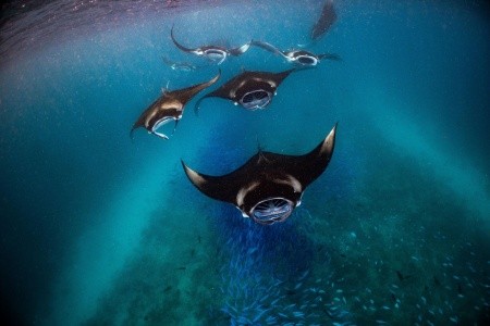 Maldivy Južný Atol Male Nova Maldives 13 dňový pobyt Plná penzia Letecky Letisko: Praha December 2025 (17/12/25-29/12/26)