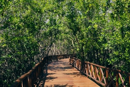 Iberostar Paraiso Lindo - 61