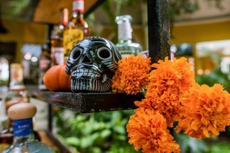 Iberostar Grand Paraiso - 79