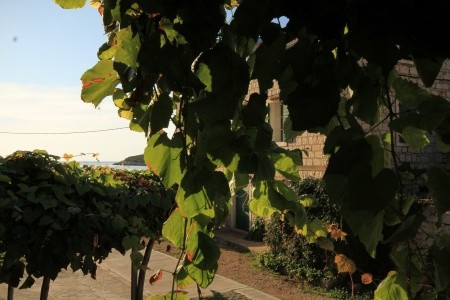 Apartmány 3298-317 - 43