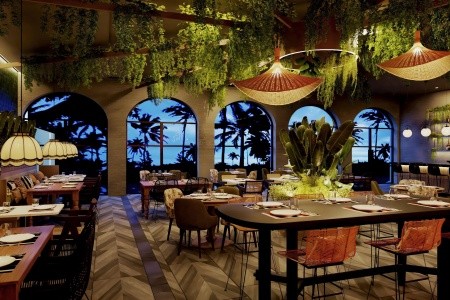 Dreams Playa Esmeralda Resort & Spa (Miches) - 9