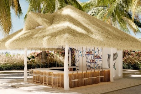 Dreams Playa Esmeralda Resort & Spa (Miches) - 11