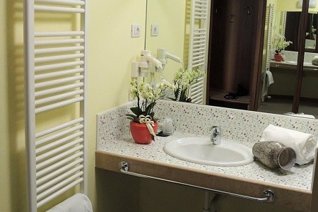 Grand Astoria (Lavarone) - 28