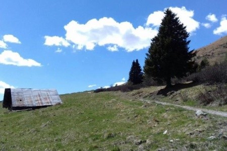 Milano (Vermiglio) - 4