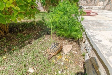 Apartmány 1355-131 - 14