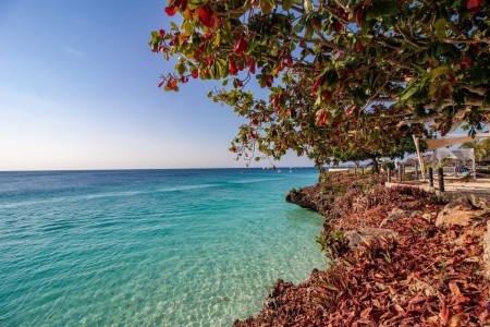 The Royal Zanzibar Beach Resort - 26