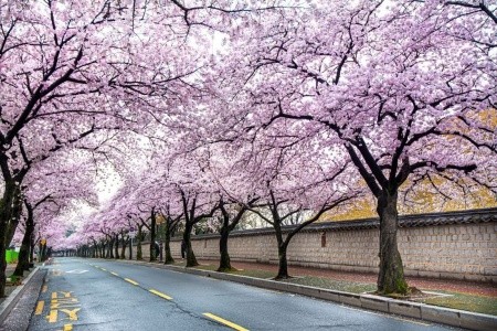 Soul plný zážitků - 6