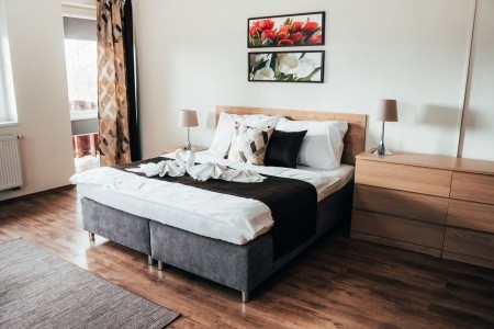 Aplend Apartments Tatry Holiday - 10