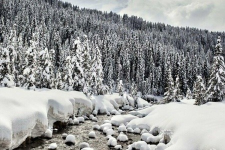 Excelsior Cimone - 4