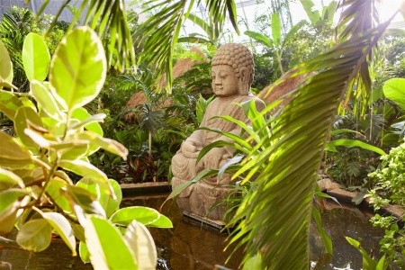 Tropical Islands - 46