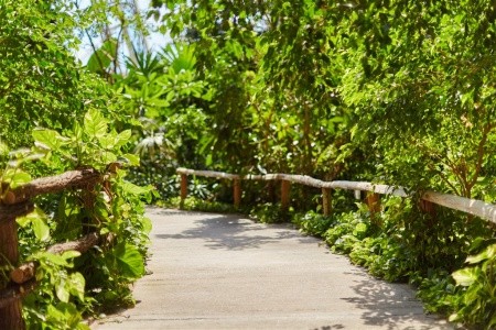 Tropical Islands - 49