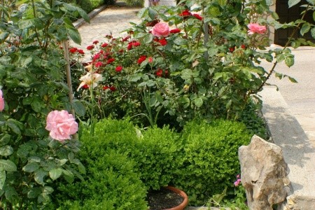 Apartmány 3298-136 - 12