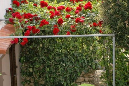 Apartmány 3298-136 - 41