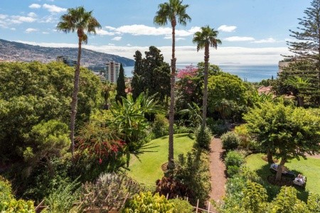 Pestana Village & Pestana Miramar Garden Resort - 21