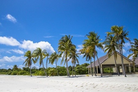 Hondaafushi Island Resort - 7