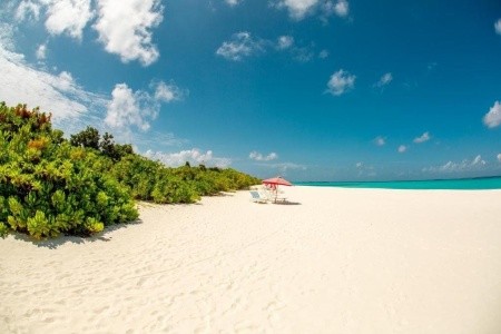 Hondaafushi Island Resort - 11