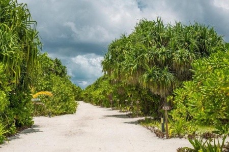 Hondaafushi Island Resort - 13