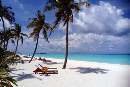 Hondaafushi Island Resort - 16