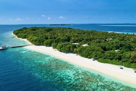 Maldivy  Amilla Fushi (Baa Atol) 12 dňový pobyt Raňajky Letecky Letisko: Praha July 2026 (23/07/26- 3/08/26)