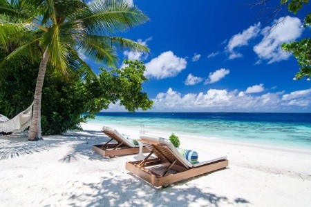 Maldivy  Amilla Fushi (Baa Atol) 12 dňový pobyt Raňajky Letecky Letisko: Praha July 2026 (23/07/26- 3/08/26)