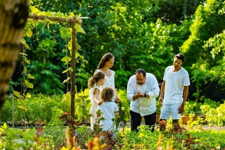 Vakkaru Maldives - 35