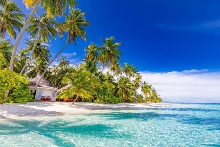 Sun Siyam Villu Reef Maldives - 2