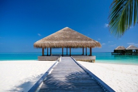 Maldivy Severný Atol Male Huvafen Fushi 12 dňový pobyt Plná penzia Letecky Letisko: Praha February 2026 ( 9/02/26-20/02/26)