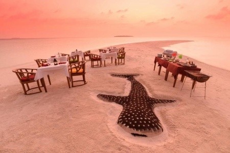 Maldivy  Dhigufaru Island Resort 12 dňový pobyt All Inclusive Letecky Letisko: Praha August 2026 ( 7/08/26-18/08/26)