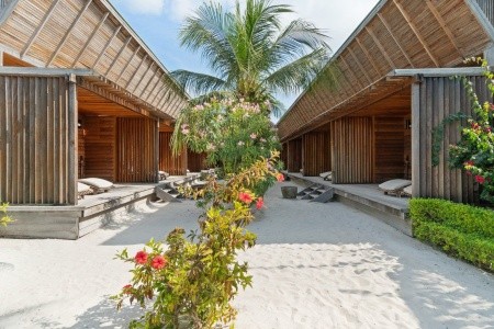The Barefoot Eco (Haa Dhaalu Atoll) - 9