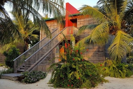 The Barefoot Eco (Haa Dhaalu Atoll) - 10
