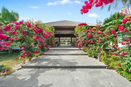 The Barefoot Eco (Haa Dhaalu Atoll) - 11