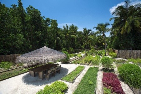 Gili Lankanfushi Maldives - 17