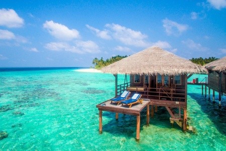 Filitheyo Island Resort - 5